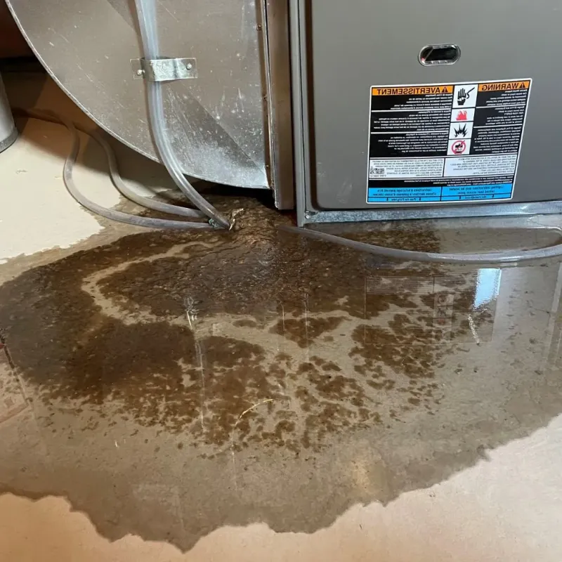 Pipe Burst and Leak Restoration in Framingham, MA